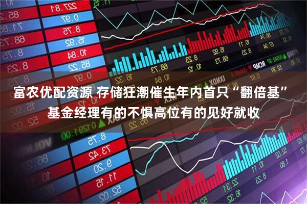 富农优配资源 存储狂潮催生年内首只“翻倍基” 基金经理有的不惧高位有的见好就收