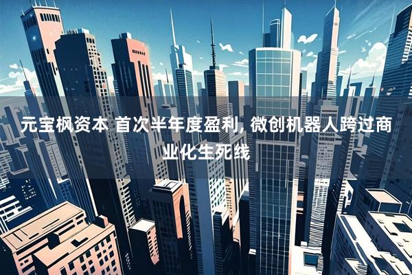 元宝枫资本 首次半年度盈利, 微创机器人跨过商业化生死线