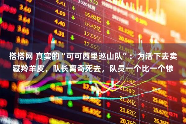 搭搭网 真实的“可可西里巡山队”：为活下去卖藏羚羊皮，队长离奇死去，队员一个比一个惨
