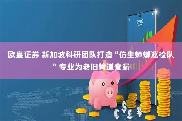 欧皇证券 新加坡科研团队打造“仿生蟑螂巡检队”专业为老旧管道查漏