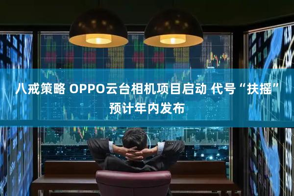 八戒策略 OPPO云台相机项目启动 代号“扶摇”预计年内发布