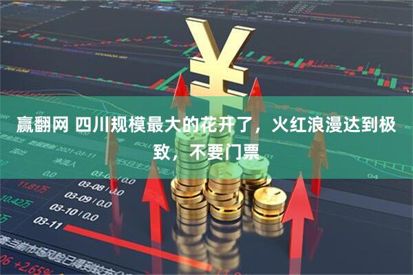 赢翻网 四川规模最大的花开了，火红浪漫达到极致，不要门票