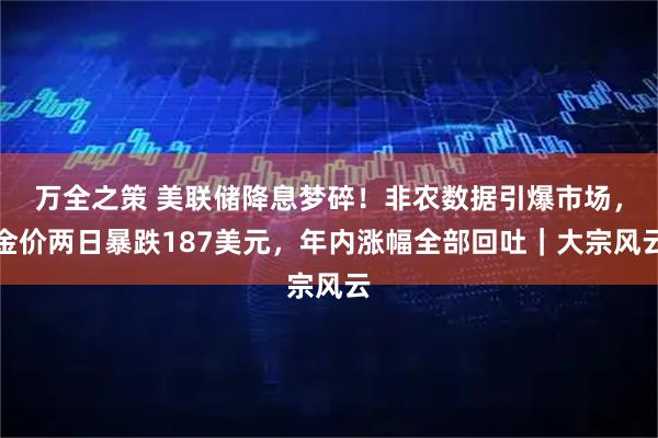 万全之策 美联储降息梦碎!非农数据引爆市场,金价两日暴跌187美元,年内涨幅全部回吐|大宗风云