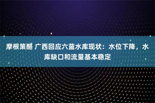 摩根策酪 广西回应六蓝水库现状：水位下降，水库缺口和流量基本稳定