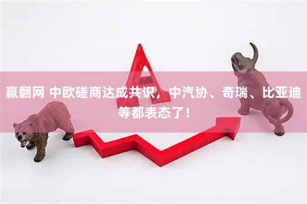 赢翻网 中欧磋商达成共识，中汽协、奇瑞、比亚迪等都表态了！